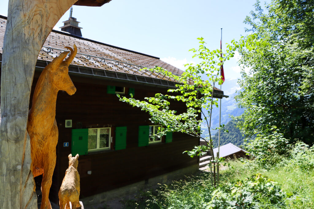 Sackbergli-11